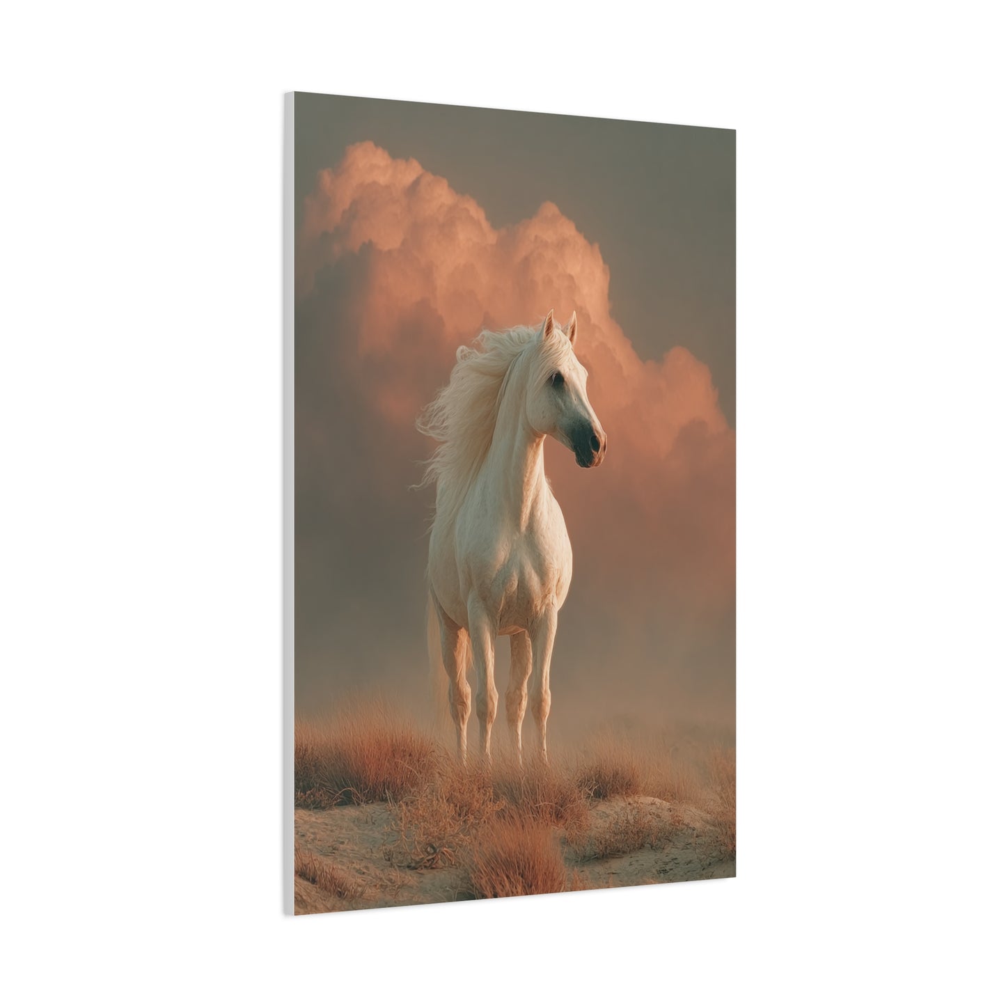 White Arabian Horse Golden Cloud Portrait Wall Art & Canvas Print