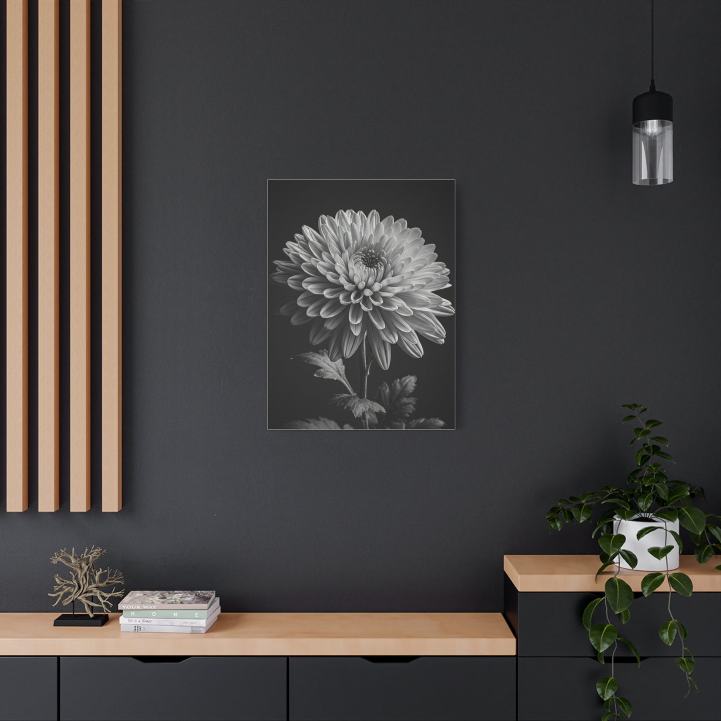 Chrysanthemum Bloom in Noir Wall Art & Canvas Prints