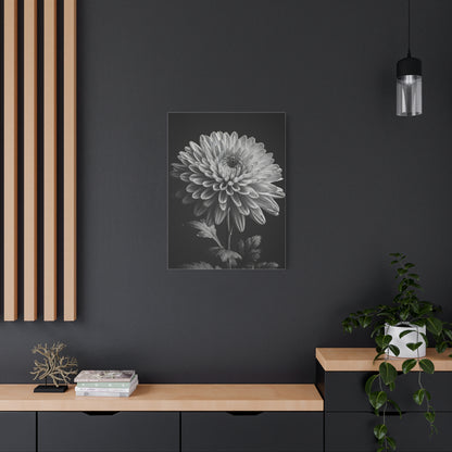 Chrysanthemum Bloom in Noir Wall Art & Canvas Prints