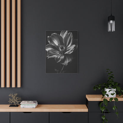 Anemone Bloom with Dramatic Center Wall Art & Canvas Prints