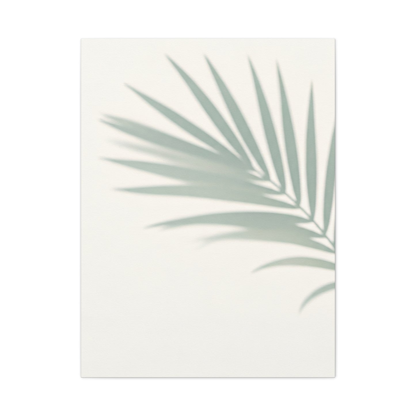 Soft Palm Frond Shadow Minimal Wall Art & Canvas Prints