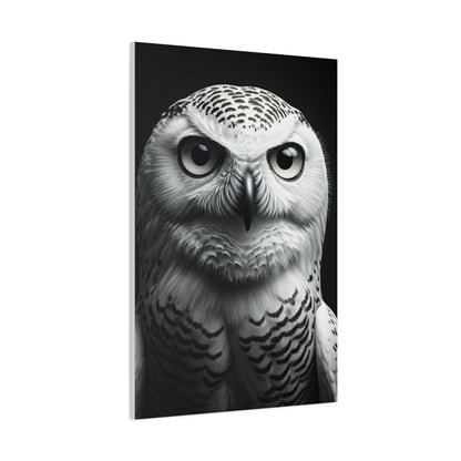 Snowy Owl Intense Gaze Wall Art & Canvas Prints