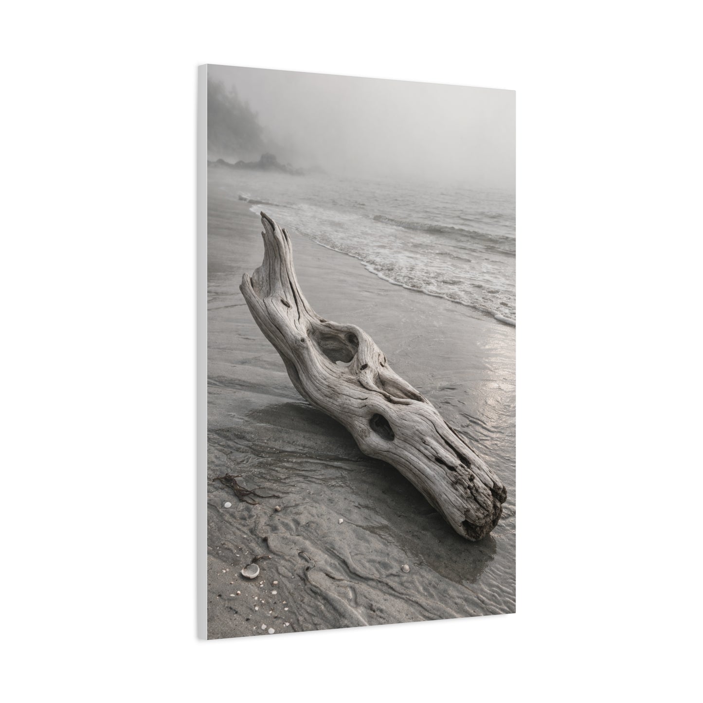 Driftwood Coastal Minimal Wall Art & Canvas Print