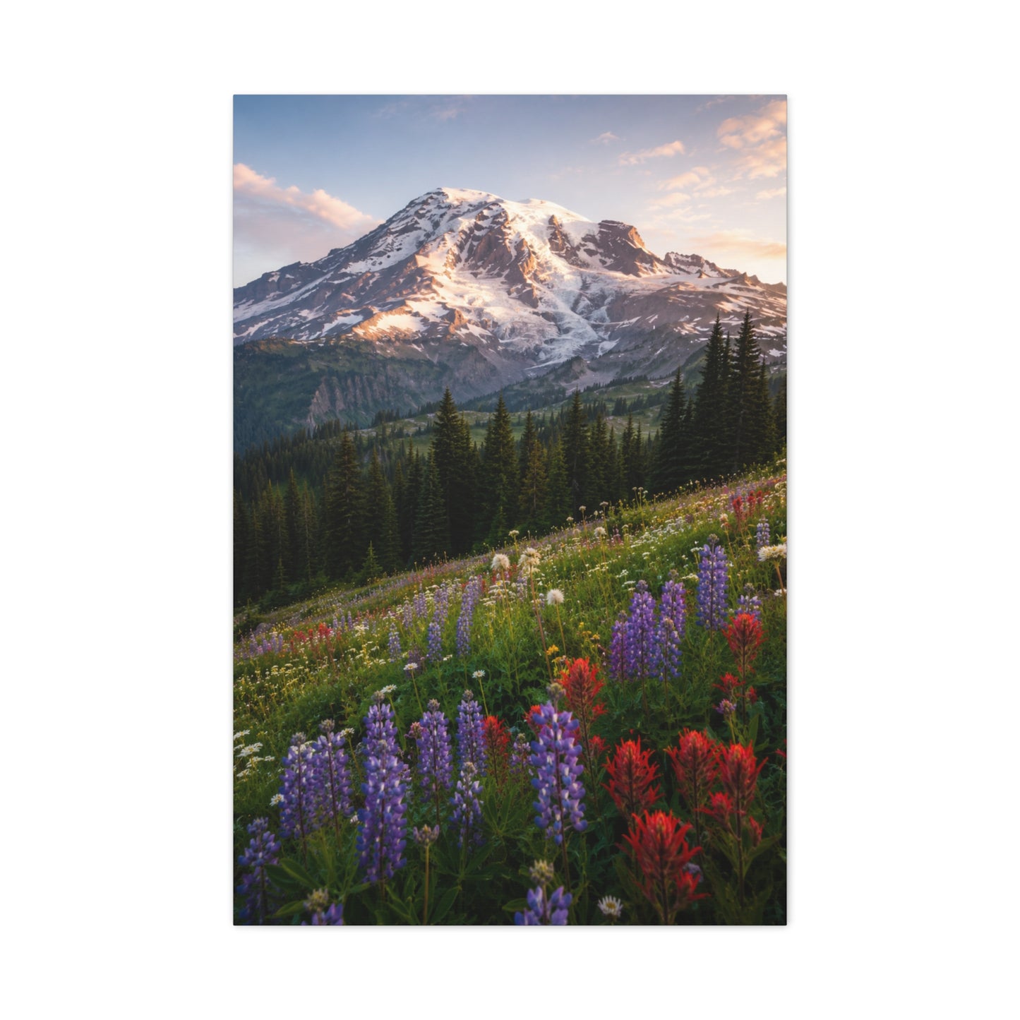 Mount Rainier Wildflower Meadow Wall Art & Canvas Print