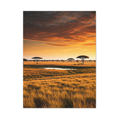 Savannah Sunset Wall Art & Canvas Prints