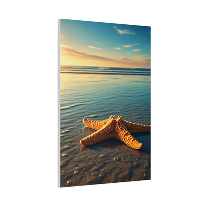 Starfish Resting in Shallow Sunset Waters Wall Art & Canvas Prints