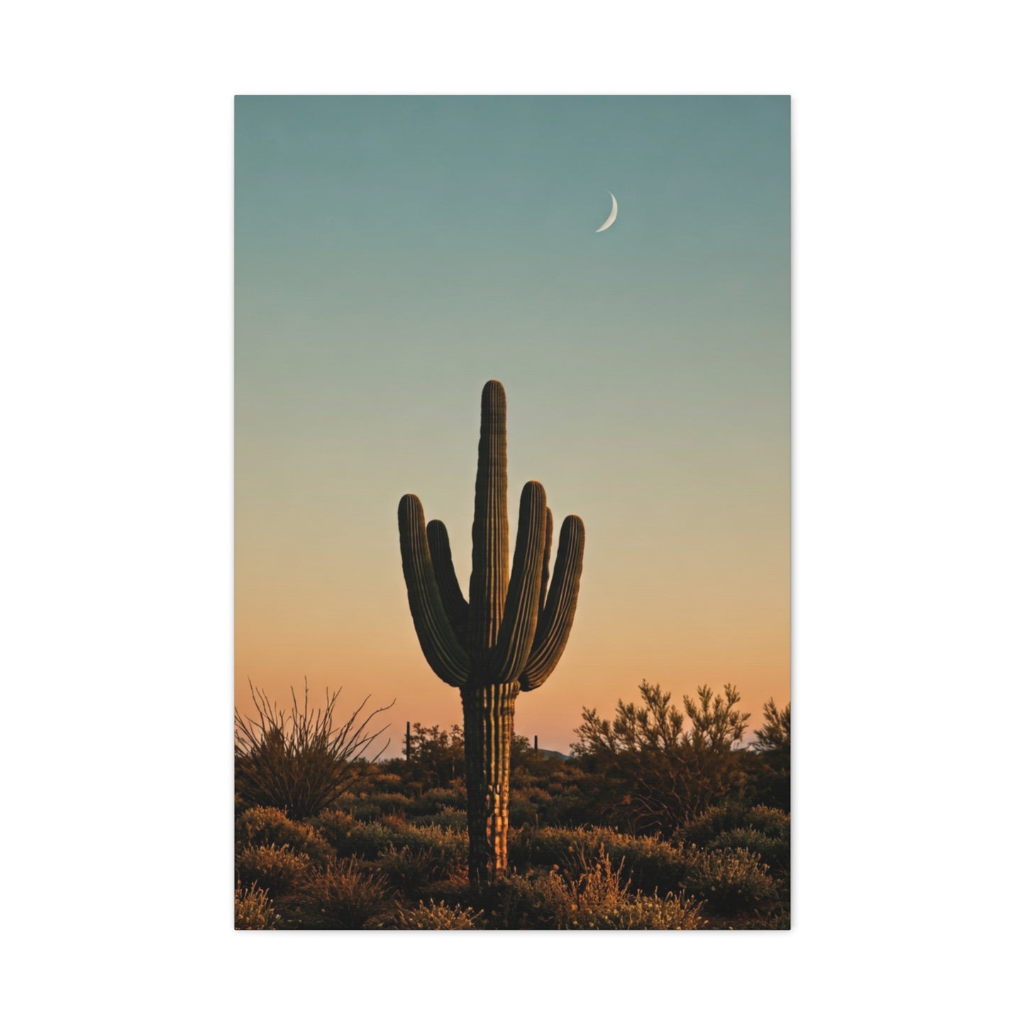 Solitary Saguaro Under Open Desert Sky Wall Art & Canvas Prints