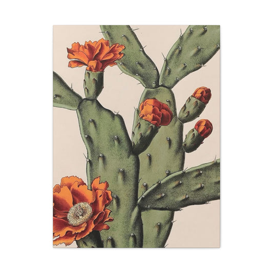 Abstract Arizona Flower Cactus Wall Art & Canvas Prints
