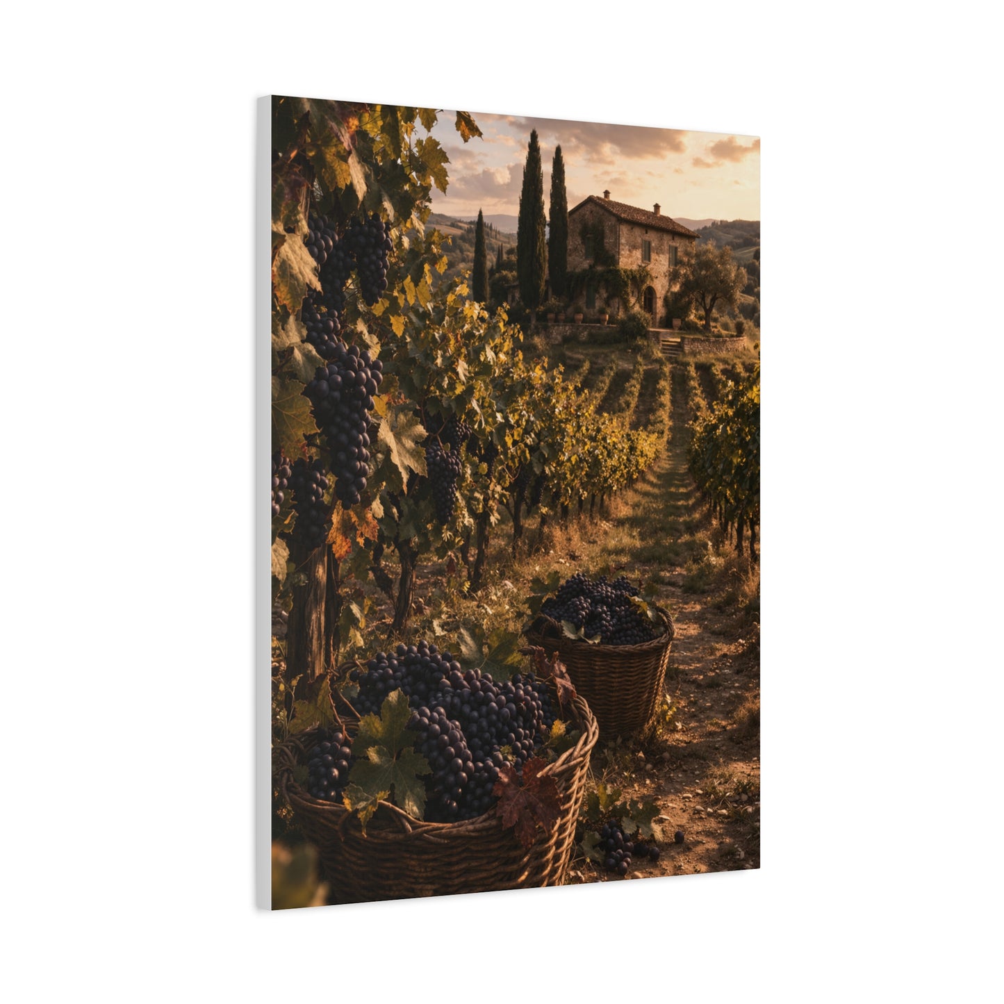 Tuscan Vineyard Harvest Scene Wall Art & Canvas Print