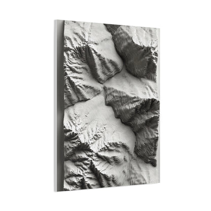 Sculpted Topographic Relief Wall Art & Canvas Print