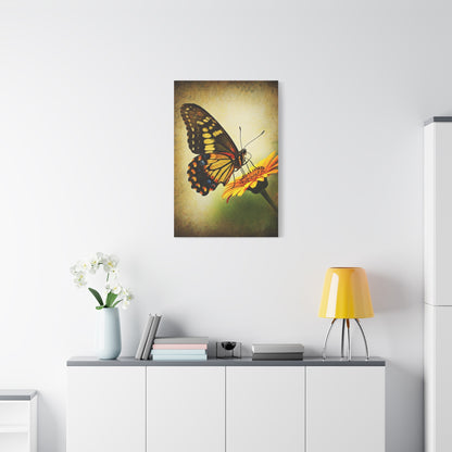 Golden Meadow Butterfly on Flower Wall Art & Canvas Prints
