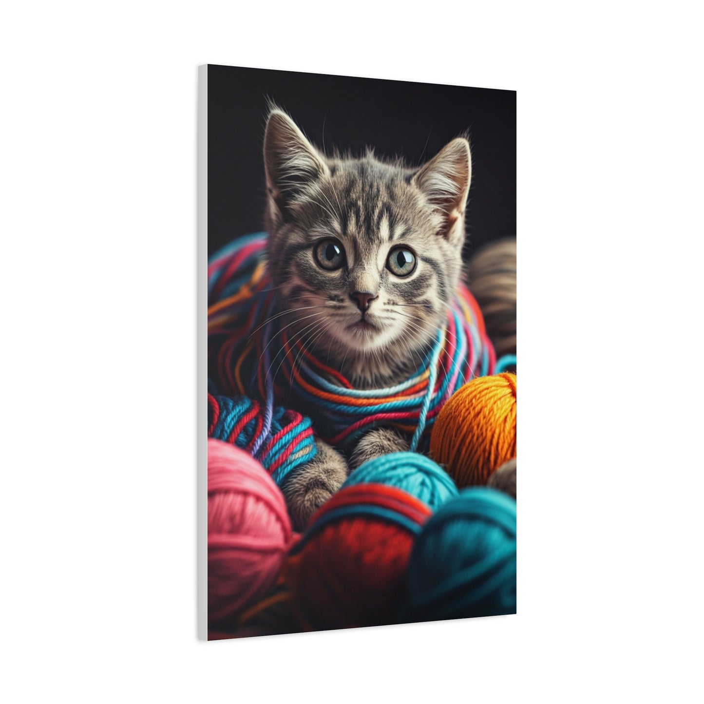 Whiskers in Wool Wall Art & Canvas Print