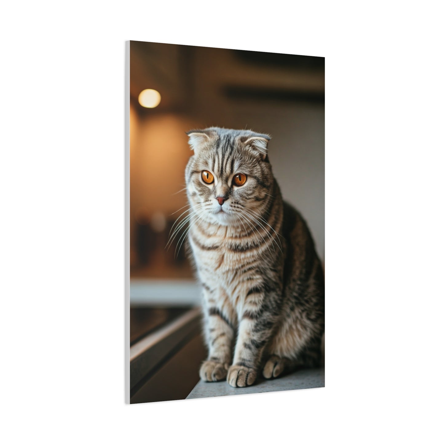 Golden Gaze Cat Wall Art & Canvas Prints