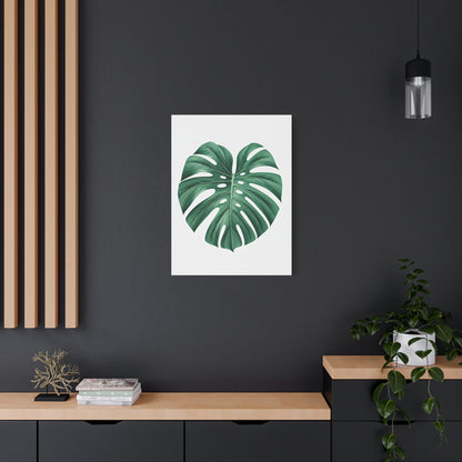 Monstera Leaf Modern Botanical Wall Art & Canvas Prints
