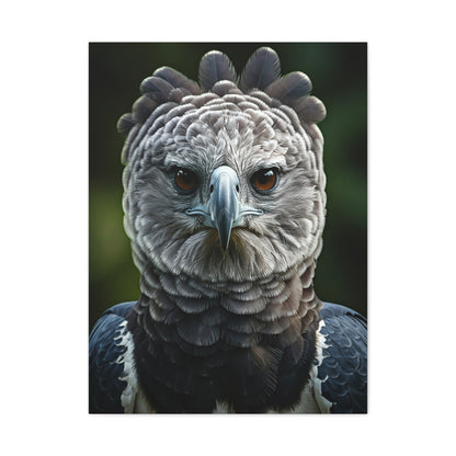 Regal Harpy Eagle Portrait Wall Art & Canvas Prints