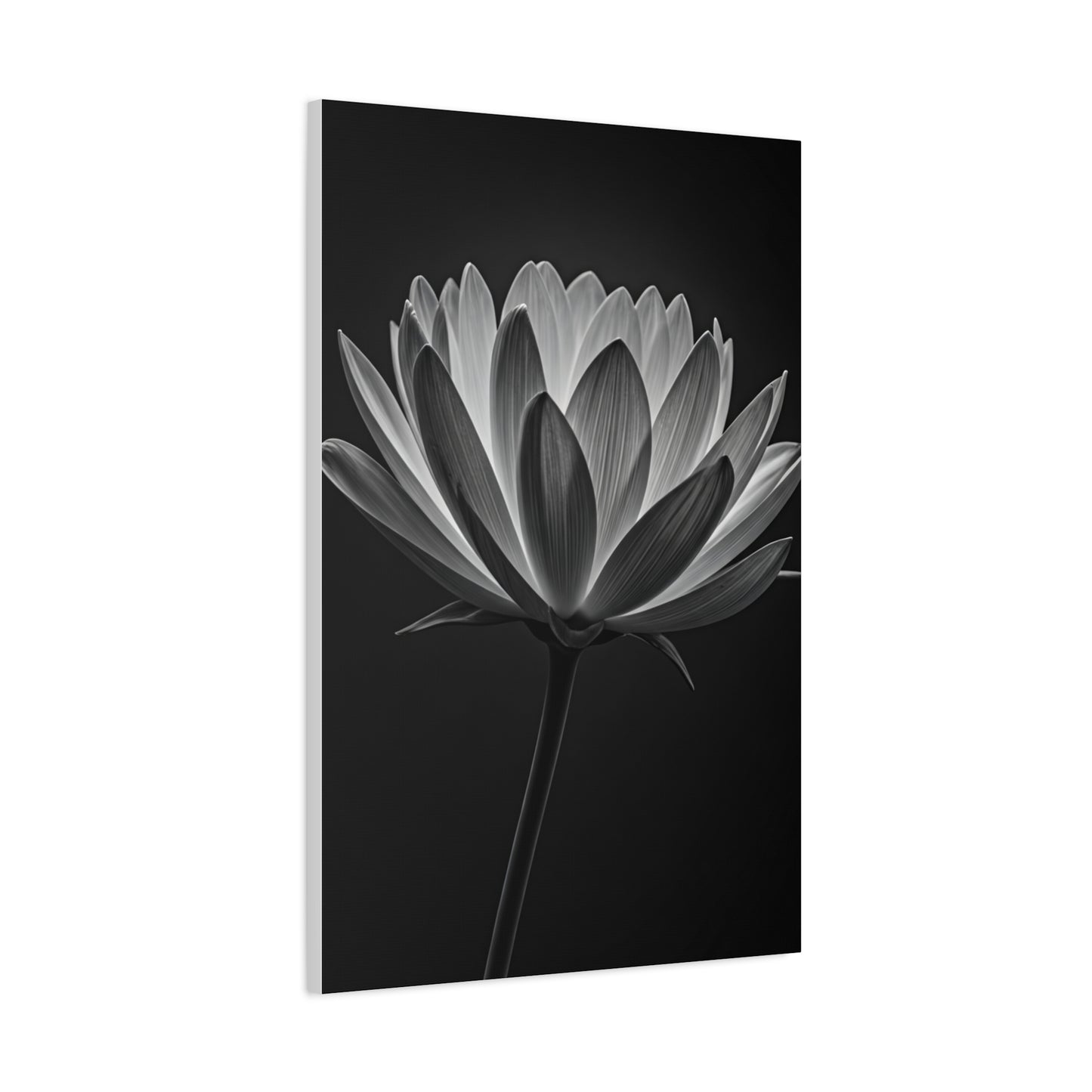 Dramatic Hibiscus Petal Study Wall Art & Canvas Prints