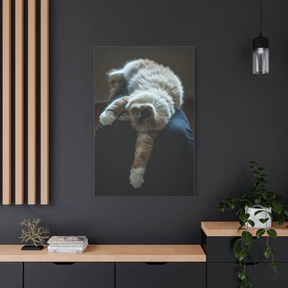 Serene Blue-Eyed Cat Wall Art & Canvas Prints
