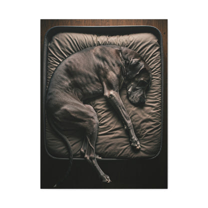 Peaceful Slumber Canine Wall Art & Canvas Print