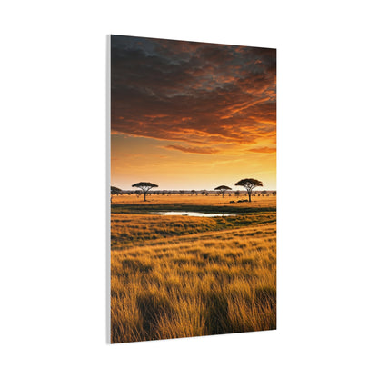 Savannah Sunset Wall Art & Canvas Prints