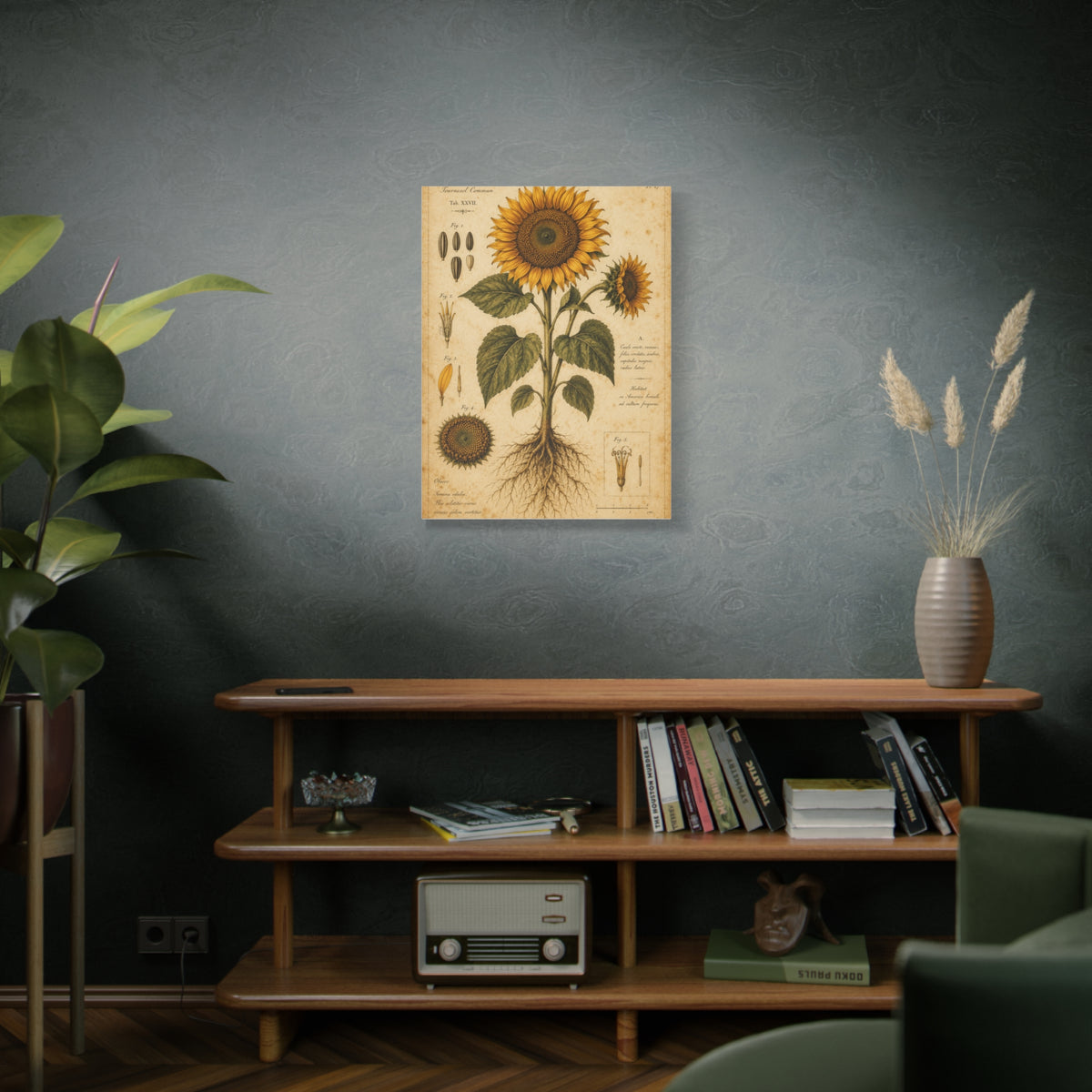 Vintage Botanical Sunflower Study Wall Art & Canvas Print