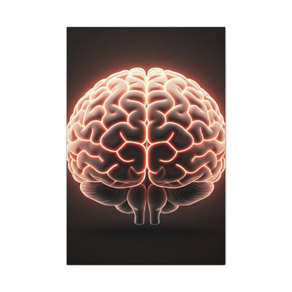 Illuminated Human Brain Wall Art & Canvas Prints