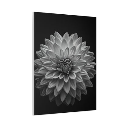 Dahlia Bloom in Shadow Monochrome Wall Art & Canvas Prints