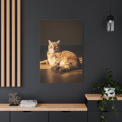 Sunlit Feline Serenity Wall Art & Canvas Print