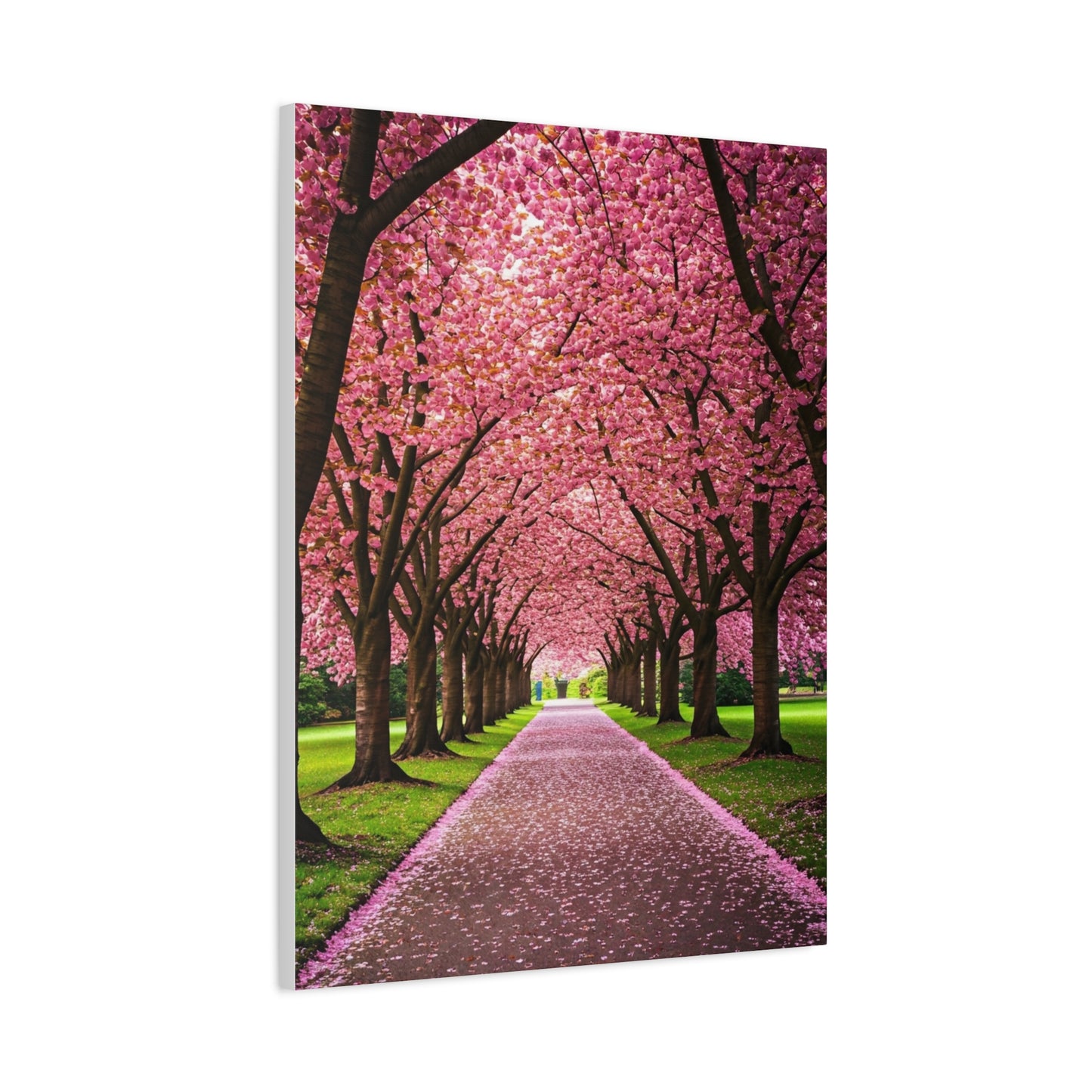 Cherry Blossom Tunnel Spring Pathway Wall Art & Canvas Prints