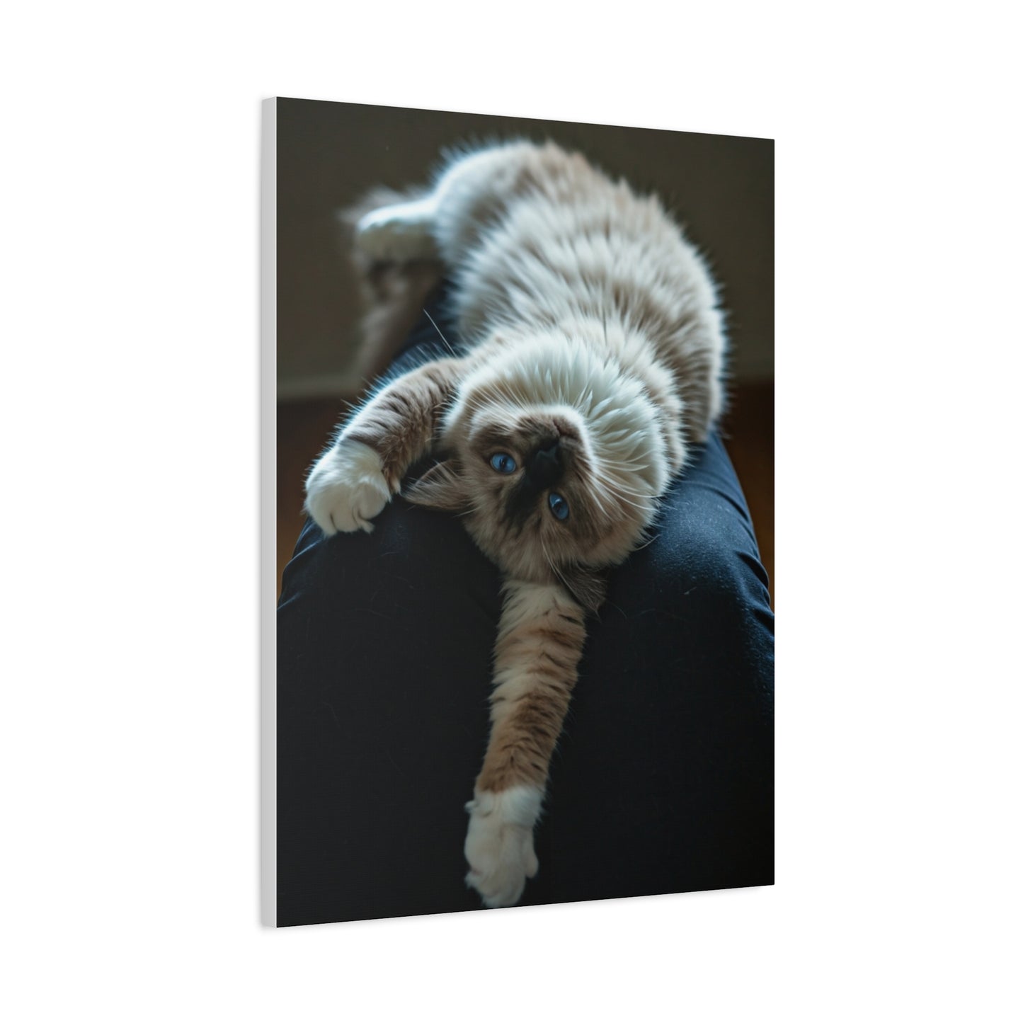 Serene Blue-Eyed Cat Wall Art & Canvas Prints