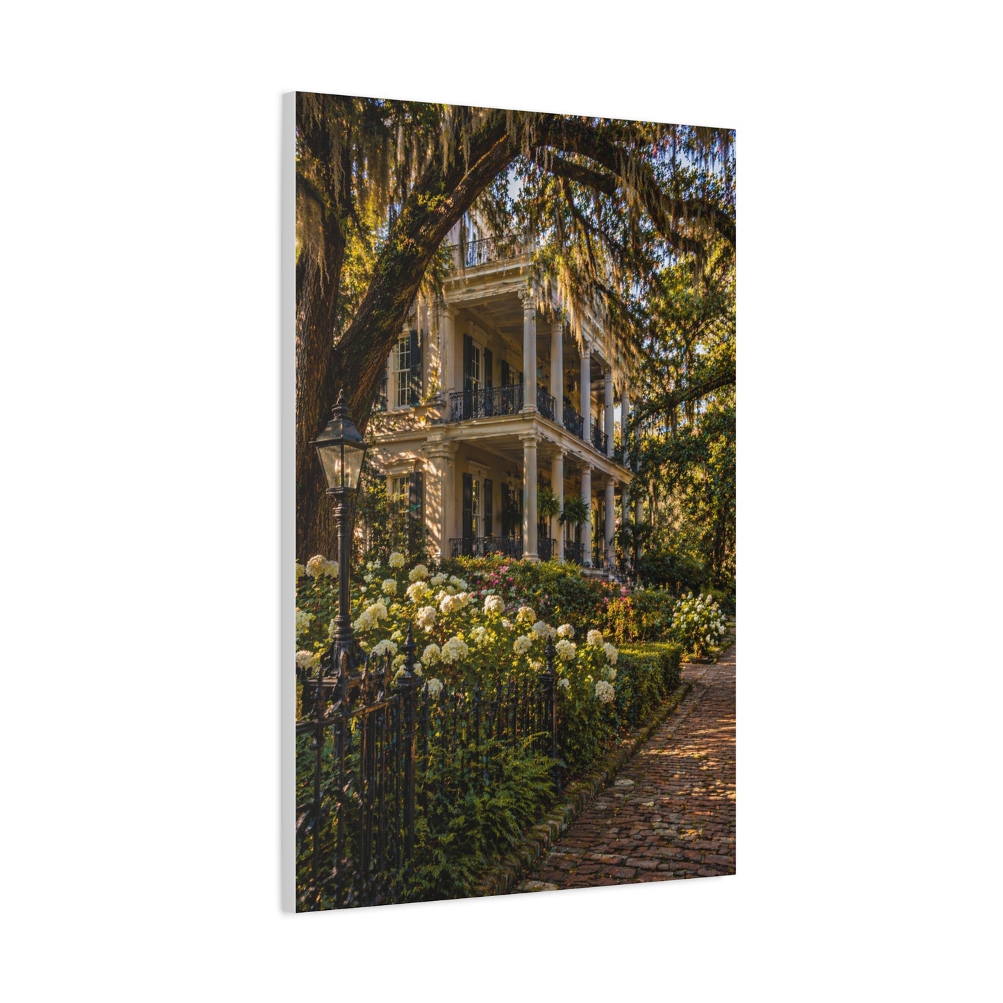 Garden District Mansion Under Live Oaks Wall Art & Canvas Print