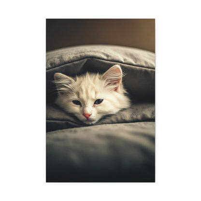 Peaceful Resting Kitten Wall Art & Canvas Prints